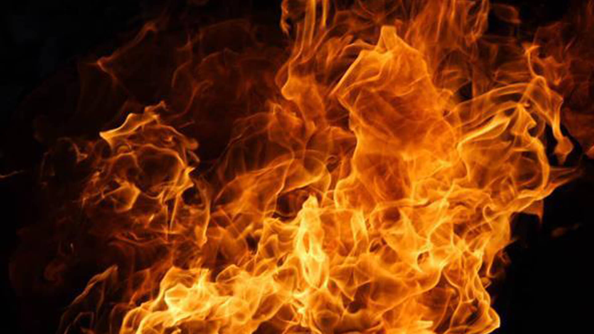 Industrial Gas Burners, Oil Burners, Dual Fuel, Dealer, India